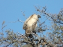 kalahari-25