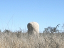 kalahari-35