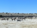 kalahari-45