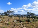 kruger-12