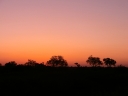 kruger-40
