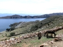 lapaz-66