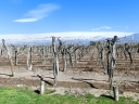 mendoza-24