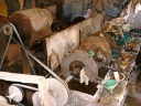 potosi-08