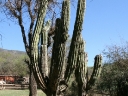 salta-16