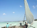 sansibar-37