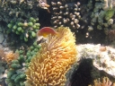 sansibar-40
