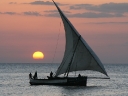 sansibar-52