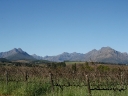 stellenbosch-04