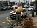 stellenbosch-16