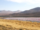 uyuni-08