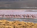 uyuni-09