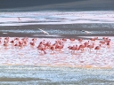 uyuni-10