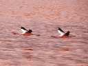uyuni-12