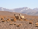 uyuni-16