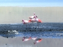 uyuni-27