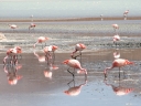 uyuni-29