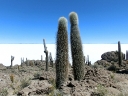 uyuni-46