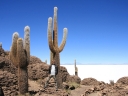 uyuni-48